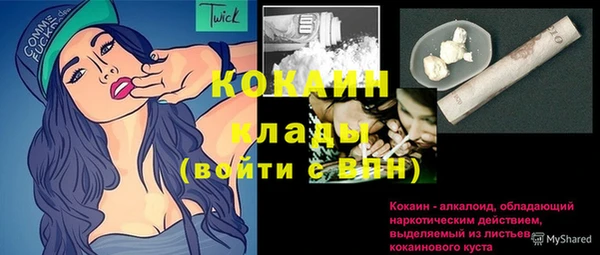 твердый Абаза