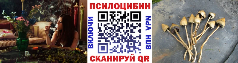 Галлюциногенные грибы MAGIC MUSHROOMS  продажа наркотиков  Беломорск 